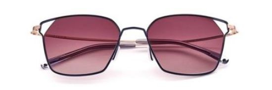 Picture of Paradigm Sunglasses 20-50
