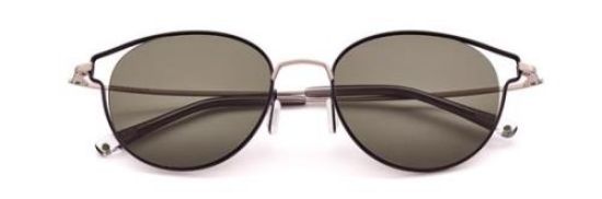 Picture of Paradigm Sunglasses 20-51