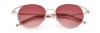 Picture of Paradigm Sunglasses 20-51