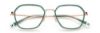 Picture of Paradigm Eyeglasses 19-13