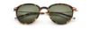 Picture of Paradigm Sunglasses 19-39