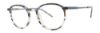 Picture of Vera Wang Eyeglasses V565