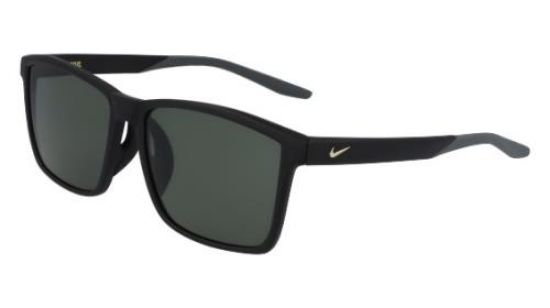 Picture of Nike Sunglasses CHANNEL AF CW4725