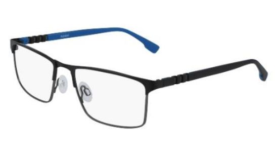 Picture of Flexon Eyeglasses E1137