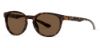 Picture of Smith Sunglasses EASTBANK