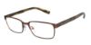 Picture of Armani Exchange Eyeglasses AX1042