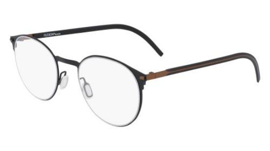 Picture of Flexon Eyeglasses B2075