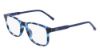 Picture of Lacoste Eyeglasses L3633