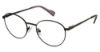 Picture of Ben Sherman Eyeglasses EUSTON