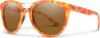 Picture of Smith Sunglasses BRIDGETOWN