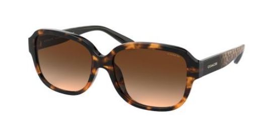 Picture of Coach Sunglasses HC8298U