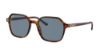 Picture of Ray Ban Sunglasses RB2194