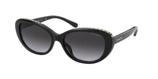 Picture of Coach Sunglasses HC8296U