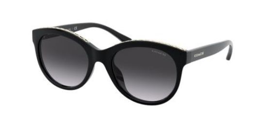Picture of Coach Sunglasses HC8297U