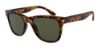 Picture of Giorgio Armani Sunglasses AR8133