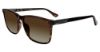 Picture of Police Sunglasses SPL773