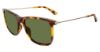 Picture of Police Sunglasses SPL572N