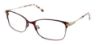 Picture of Bcbgmaxazria Eyeglasses ANITA