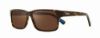 Picture of Revo Sunglasses FINLEY