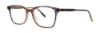 Picture of Vera Wang Eyeglasses V579