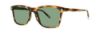 Picture of Penguin Sunglasses THE CRICKET SUN