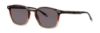 Picture of Penguin Sunglasses THE JONES SUN