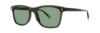 Picture of Penguin Sunglasses THE CRICKET SUN