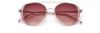 Picture of Paradigm Sunglasses 20-61