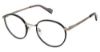 Picture of Ben Sherman Eyeglasses MONTAGU