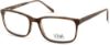 Picture of Viva Eyeglasses VV4044