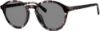 Picture of Banana Republic Sunglasses ROYCE/S