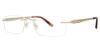 Picture of Invincilites Eyeglasses Zeta 118
