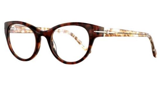 Picture of Leon Max Eyeglasses 4017