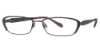 Picture of Max Studio Eyeglasses 101M