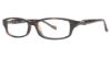 Picture of Max Studio Eyeglasses 113Z
