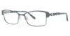 Picture of Max Studio Eyeglasses 141M