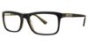 Picture of Randy Jackson Eyeglasses 3038
