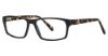 Picture of Randy Jackson Eyeglasses 3039