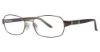 Picture of Sophia Loren Eyeglasses M251
