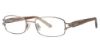 Picture of Sophia Loren Eyeglasses M254