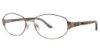 Picture of Sophia Loren Eyeglasses M255