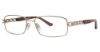 Picture of Sophia Loren Eyeglasses M269
