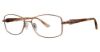Picture of Sophia Loren Eyeglasses M290