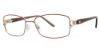 Picture of Sophia Loren Eyeglasses M296