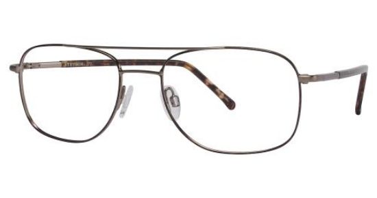 Picture of Stetson Eyeglasses 273
