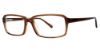 Picture of Stetson Eyeglasses 303