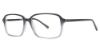Picture of Stetson Eyeglasses 310