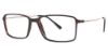 Picture of Stetson Eyeglasses 325