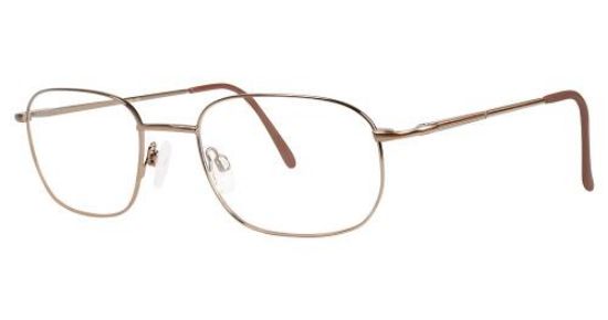Picture of Stetson Eyeglasses 338