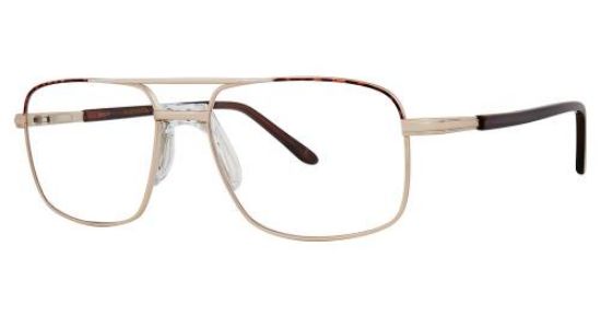 Picture of Stetson Eyeglasses 353